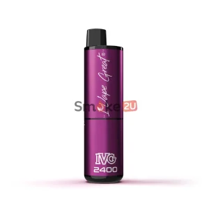 IVG Bar 2400 Akkuträger – Purple